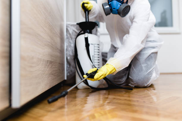 Reliable Langley Park, MD Pest Control Solutions