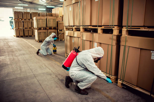 Best Cockroach Control Services  in Langley Park, MD