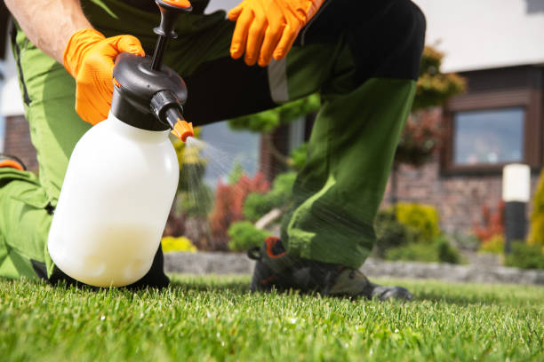 Best Pest Inspection Near Me  in Langley Park, MD