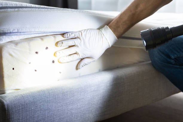 Best Commercial Pest Control Services  in Langley Park, MD