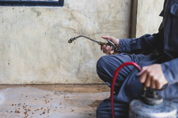 Wasp Removal Services in Langley Park, MD